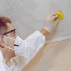 Miami Mold Expert