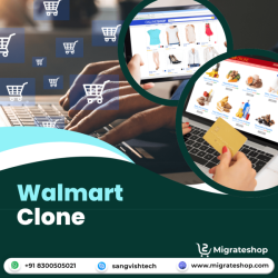 Walmart Clone: Revolutionizing the E-commerce Landscape for Entrepreneurs