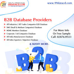 B2B Database Provider Company in India