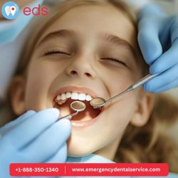 Emergency Dental Service Waynesboro VA XXXXX
