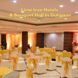 Banquet hall in Gurgaon/ Lime tree hotels