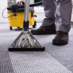 Premier Rug Cleaning and Washing - Gold Coast