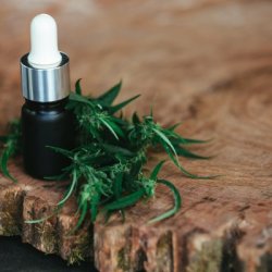 Enjoy Hemp