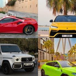 Experience Luxury on Wheels with Exotic Ride Rent A Car
