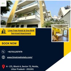 Hotels in Noida Sector 51 for Business Travelers