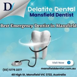 Delatite Dental Mansfield Dentist