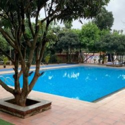 Suggee Resort