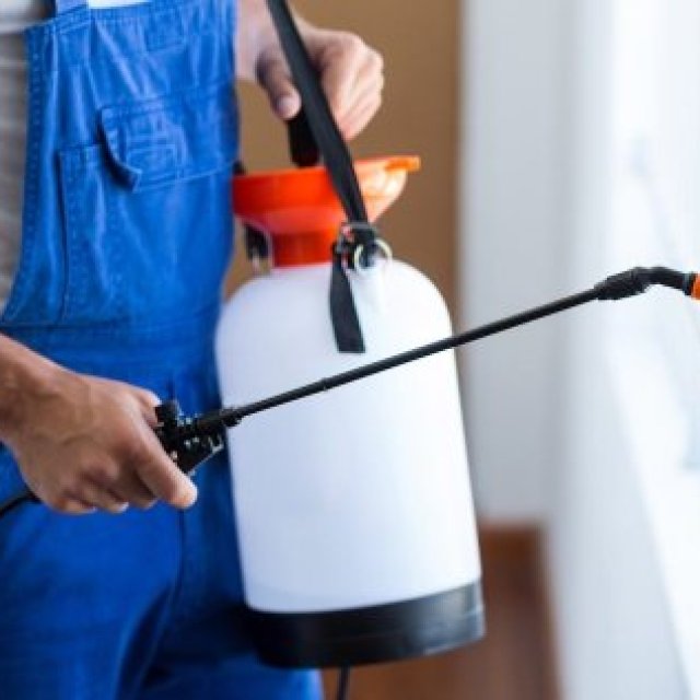 Pest Control in Lucknow