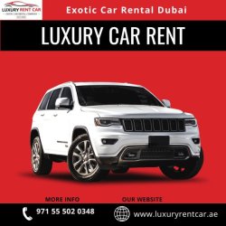 Rent Exotic & Luxury Cars in Dubai