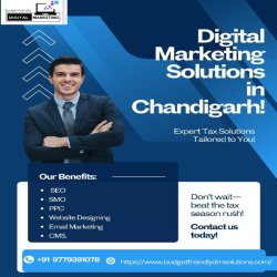 Digital Marketing Solutions in Chandigarh