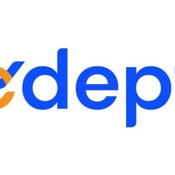 B Edept Ventures Private Limited
