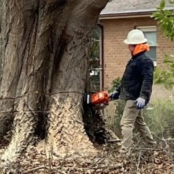 Hollar Brothers Tree Services