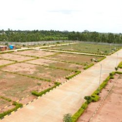 Are you looking for land in Noida at best deal?