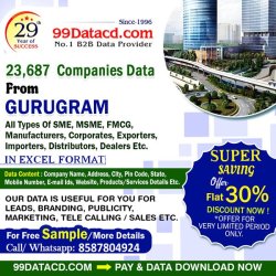Download Verified Gurgaon Companies List - 99Datacd