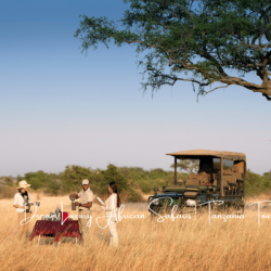 Amara Safari | Luxury African Safaris | Tanzania Tours