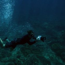 Petro Divers