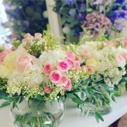 Houz of Zen Flowers and Plants Trading LLC