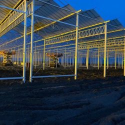 Ruthven Greenhouse Construction