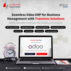 Transines Solutions