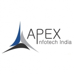 Apex Infotech India - Web Development Company