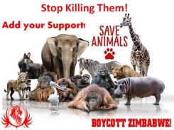 Boycott Zimbabwe