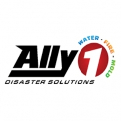 Ally1 Disaster Solutions