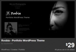 Roobia - Portfolio WordPress Theme