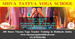 200 Hours Vinyasa Yoga Teacher Training Course in Rishikesh, India