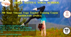 300 Hours Yoga Teacher Training Course in Rishikesh, India
