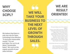 Sales Strategy & Methodology | Business Growth Consultant
