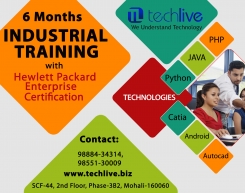Techlive Solutions : Best 6 week training in Chandigarh |  Mohali