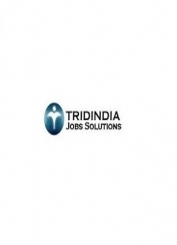TridIndia Jobs Solutions