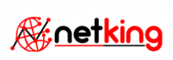 Netking Web Services Pvt Ltd