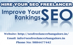 SEO Specialist In Bangalore - Contact Today For A Website Audit