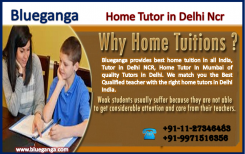 blueganga home tuition in Delhi ncr | home tuition in Mumbai