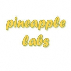 Pineapple Labs Private Ltd