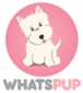 Dog Grooming Service | Whatspup