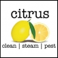 Citrus Clean Steam Pest