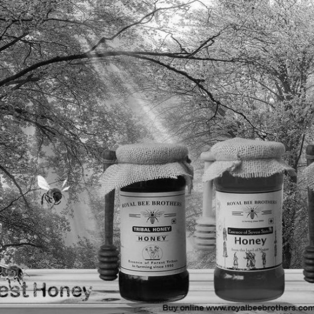 Buy Deep Forest Honey Online