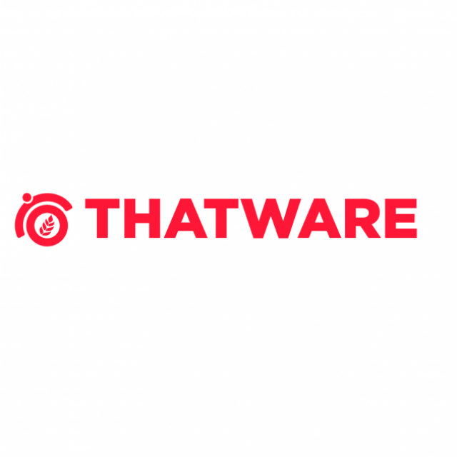 Thatware World Best SEO Services
