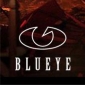 Blueye Eyewear Pty Ltd