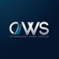 CWS Technology Web Development Company in USA