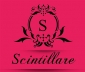 Scintillare - Fashion Studio By Sampada Ghate, Nagpur