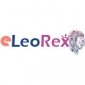 Website Design, Web Site Development Company in India - eLeoRex Technologies