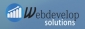 Web Develop Solutions