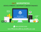 Wordpress Developer Online