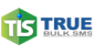 True Infosystems Private Limited