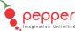 Pepper Designs Pvt Ltd