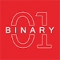 Binary Web Solutions
