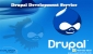 Drupal Web Development Company | Top Drupal Development Company in USA